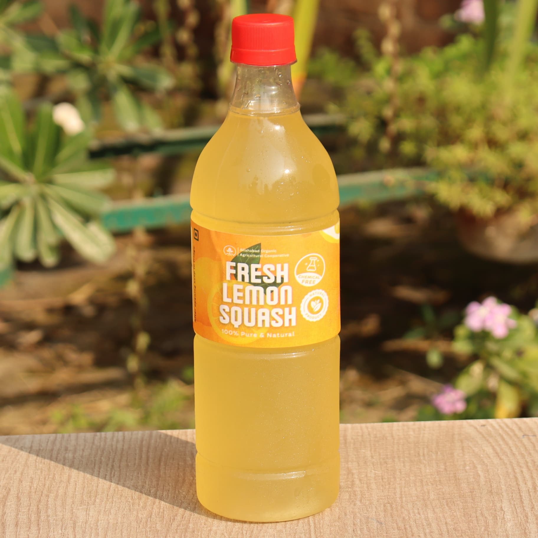 Lemon Juice view 2